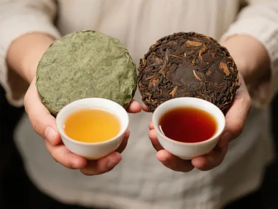 Distinction Between Raw and Fermented